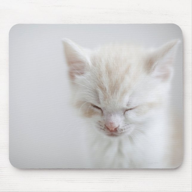 White Kitten Sleeping Mouse Pad (Front)