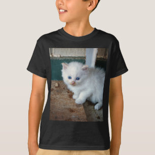 White Kitten T-Shirt