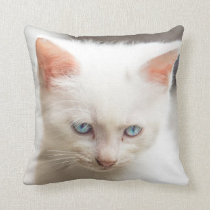 White Kitten Throw Pillow