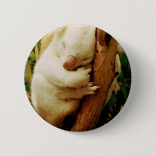 White Koala Bear Button