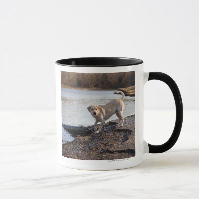 White Labrador near a lake Mug (Right)