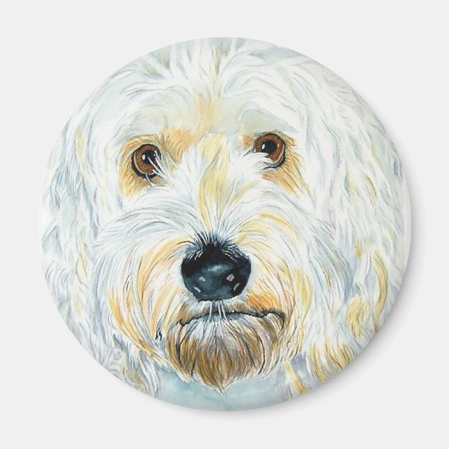 White Labrdoodle Maggie Magnet (Front)