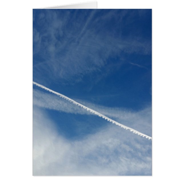 white lace on the sky (Front)