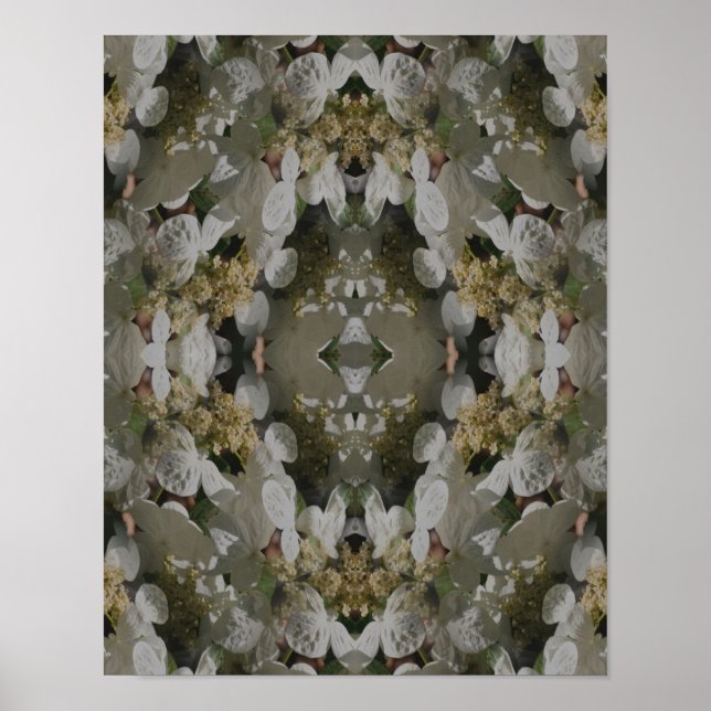 White Lacecap Hydrangea Floral Abstract  Poster (Front)