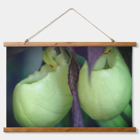 White Lady Slipper Orchid Flower Pair
