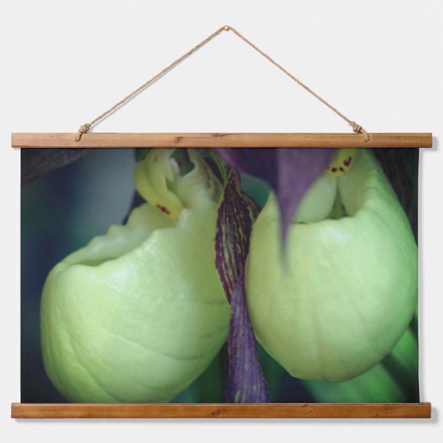 White Lady Slipper Orchid Flower Pair  Hanging Tapestry (Front)
