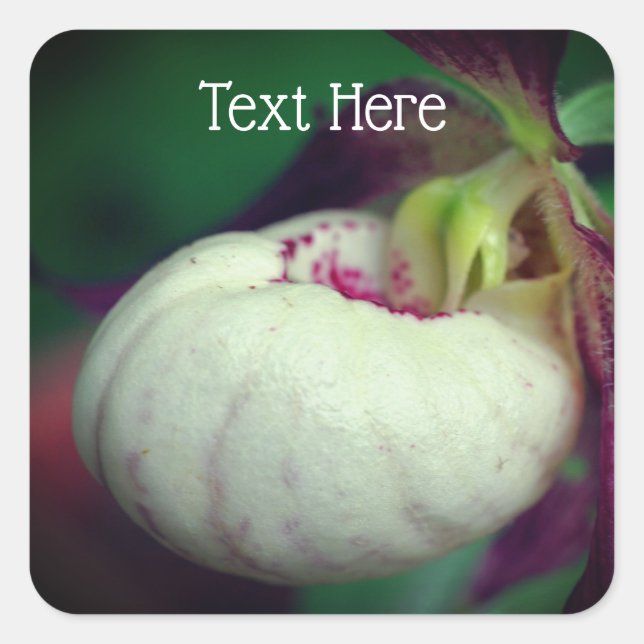 White Lady Slipper Orchid Flower Personalized Square Sticker (Front)