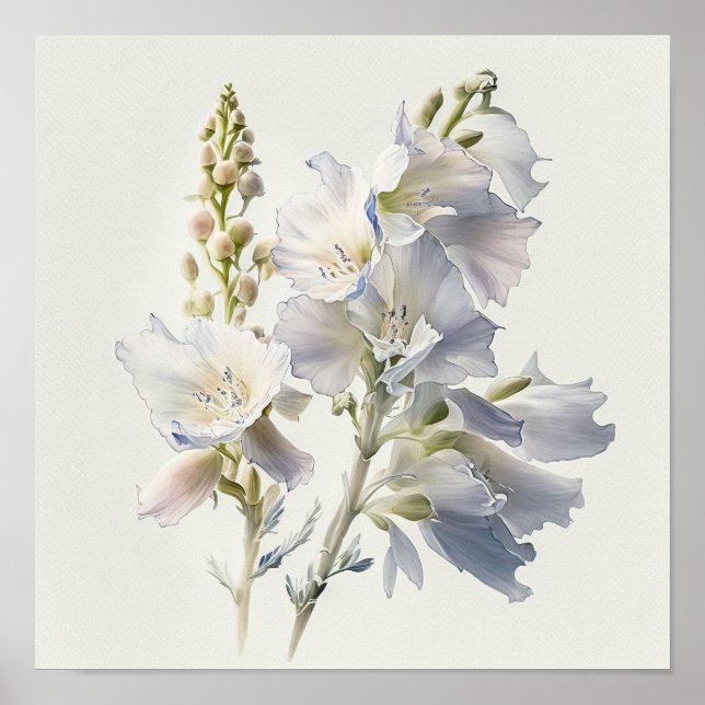 White Larkspur Flower Art Print Poster (Front)