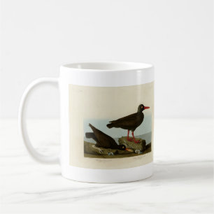 White-legged Oyster-catcher, Audubon Birds America Coffee Mug