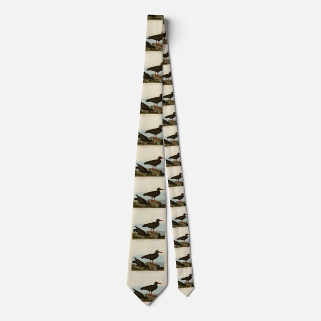 White-legged Oyster-catcher, Audubon Birds America Tie (Front)