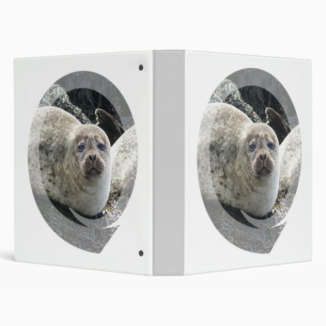 White Leopard Seal Binder (Background)