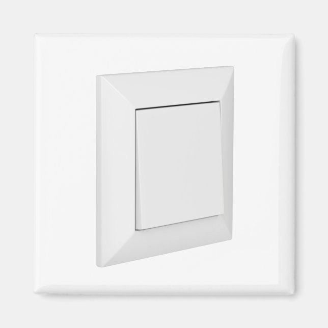 White light switch magnet (Front)