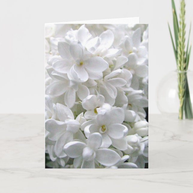 White Lilac Greeting Card (Front)