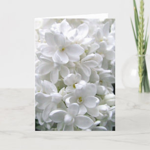 White Lilac Greeting Card