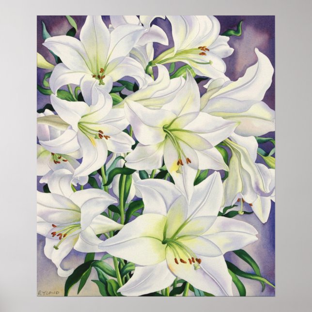 White Lilies 2008 Poster (Front)