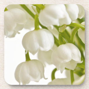 White Lilies Coaster