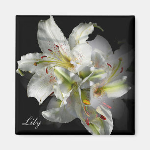 White Lilies Fantasy Magnet