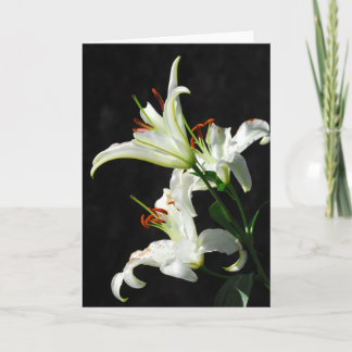 White Lilies Greeting Card