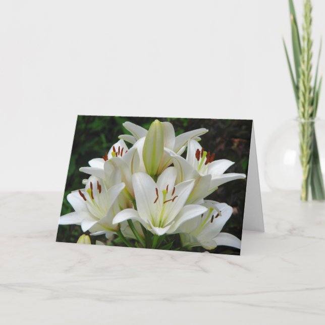 White Lilies Greeting Card (Front)
