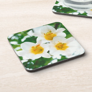 White Lilies - Lily Flower Lilium candidum  Coaster