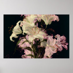White Lilies on a Dark Background Floral Art Poster