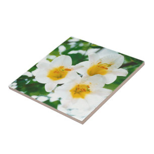 White lilies - Symbol of love Tile