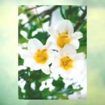 White lilies - Symbol of love
