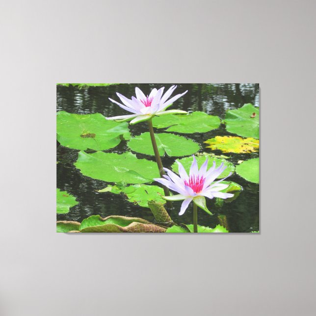 White Lillies Canvas Print (Front)
