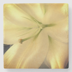 White Lillum Flower Photo Marble Stone Coaster