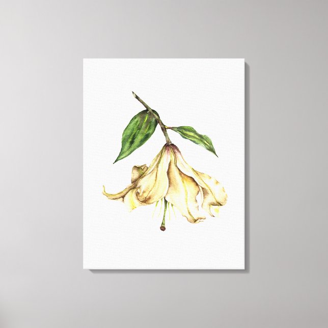 White Lily Canvas Print (Front)