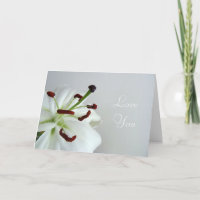 White Lily. Flower.