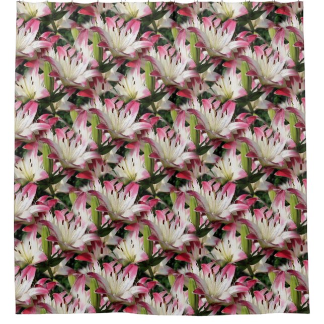 White Lily Flower Pattern Nature  (Front)