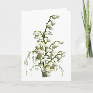 White lily of the valley flowers card