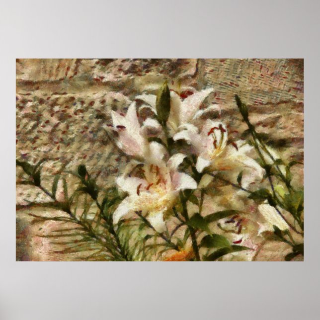 White Lily Poster (Front)