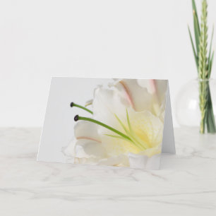 White Lily With Yellow Centre Any Occasion Card