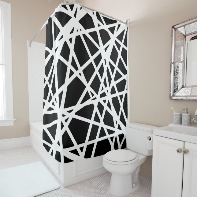 White Lines And Irregular Black Shapes Abstract (In Situ)