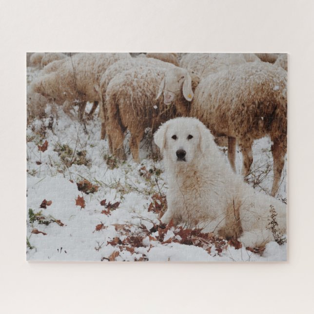 White Livestock Guardian Dog with Sheep Jigsaw Puzzle (Horizontal)