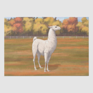 White Llama in Autumn Farm Pasture Tissue Paper