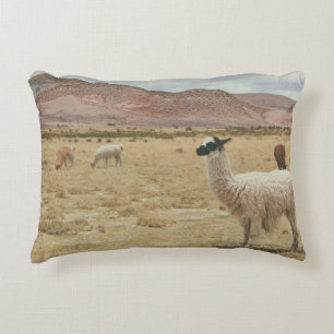 WHITE LLAMA ON BROWN GRASS ACCENT PILLOW