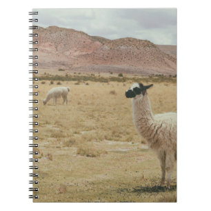WHITE LLAMA ON BROWN GRASS NOTEBOOK