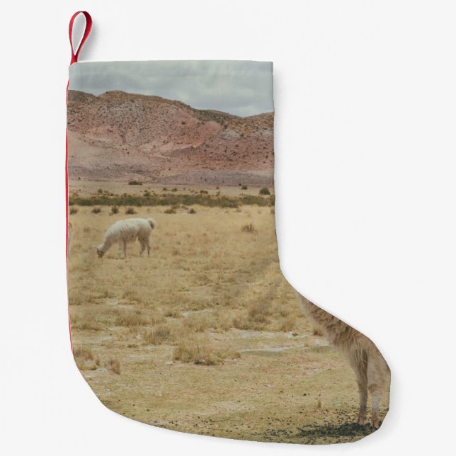 WHITE LLAMA ON BROWN GRASS SMALL CHRISTMAS STOCKING (Front)