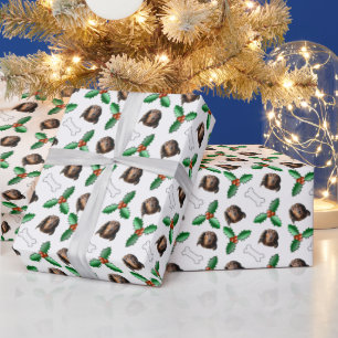 White Long Haired Dachshund Wrapping Paper