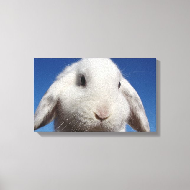 White Lop Canvas Print (Front)