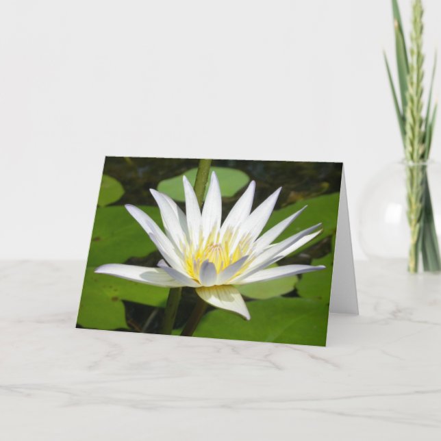 White Lotus Flower Card (Front)