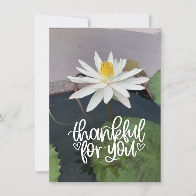 White  lotus in the pond  thank you card (Front)