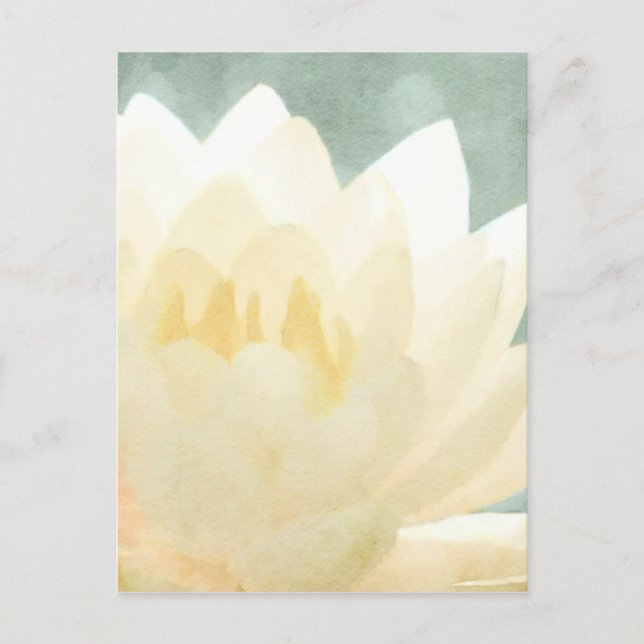 White Lotus Postcard (Front)