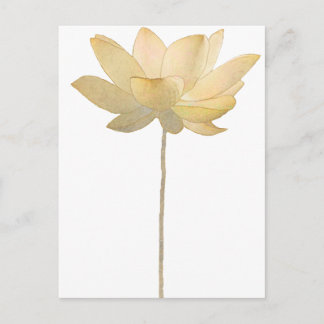 White Lotus Postcard