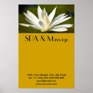 White lotus poster