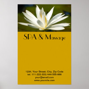 White lotus poster