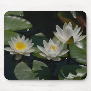 White Lotus Waterlilies Lily Pads Mouse Pad